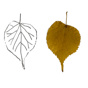 Brass Birch Leaf Necklace with 14k Gold-filled Lobster Clasp-Necklaces- Creative Jewelry by Marcia