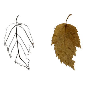 Elm Leaf Brass Necklace with 14k Gold-filled Lobster Clasp-Necklaces- Creative Jewelry by Marcia